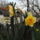 Dscf8317_664665_34608_t