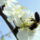 Bevetesen_665749_22974_t