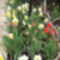 április2010 064