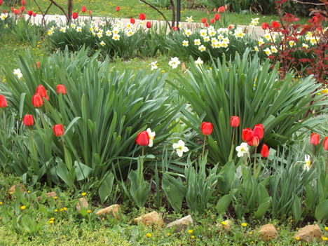 április2010 065