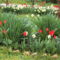 április2010 065