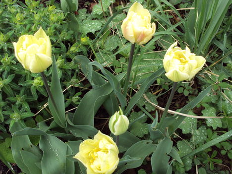 április2010 067