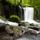 Beautifulwaterfall12807203837_666338_25159_t