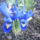 Dsc00001_666184_88856_t