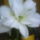 Dsc00006_666185_36627_t