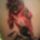 Dsc0001_666886_30702_t