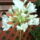 Dsc00076_666186_84909_t