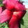Dsc00083_666188_82325_t
