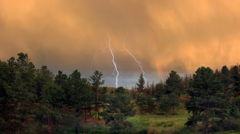 summerstorm_in_the_forest-1280x720