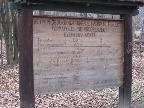 Zala_ 058_Az ősbükkös tájékoztatója