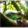 Ki_van__itt_667807_32056_t