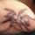 Sajat_1_667380_11415_t