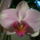 Ujabb_kepek_4-001_667627_31004_t