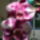 Ujabb_kepek_5-001_667628_20332_t