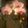 Ujabb_kepek_6-001_667629_87883_t