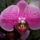 Ujabb_kepek_7-001_667630_84443_t