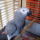 Bobo_668089_11060_t