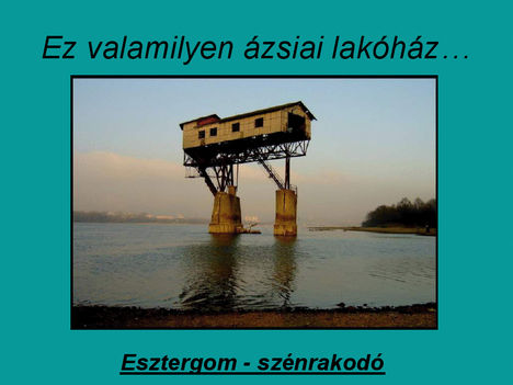 Tudtad,hogy.... 23