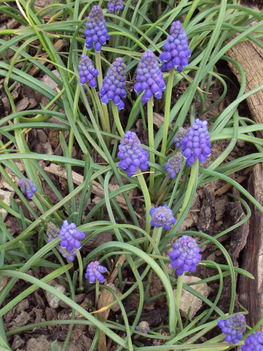 április2010 018