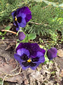 április2010 022