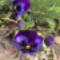 április2010 022