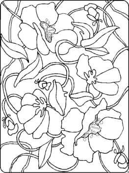 Blumengemischt_HFB-0006_2