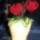 Ciklamen_2_606707_49022_t