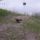 Cimg8400_660479_60832_t