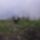 Cimg8403_660476_50676_t