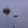 Cimg8411_660471_72318_t
