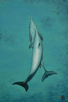 Delfinek, 20x30cm,olaj,farost