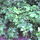Dsc00041_66194_436673_t