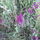 Dsc00051_66198_483086_t