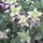 Dsc00095_66174_717551_t