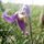 Imag0022_66197_279437_t