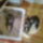 Kep0014_660325_52774_t