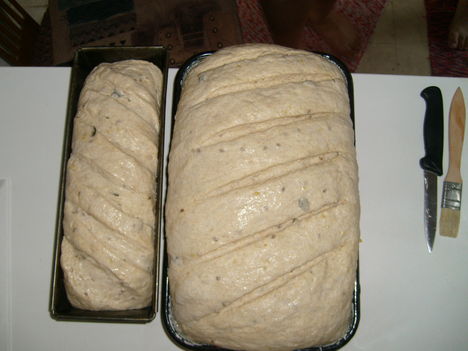 magvas kenyér