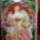 Mucha__utan_tavaszi_676867_35285_t