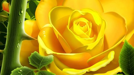 3d-yellow-rose-1280-720-3611