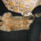 A kényelmet imádó Bencili macskánk 3