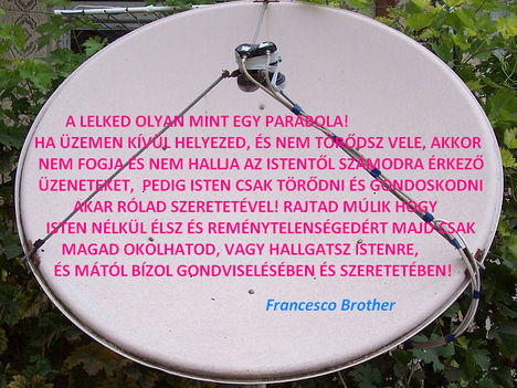 Francesco Brother idézet (03)