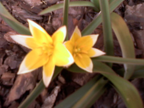 itt a tavasz 2