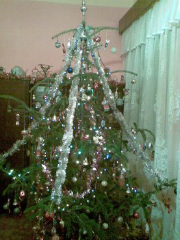 Karácsonyfa 2008 1