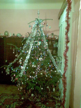 Karácsonyfa 2008 2