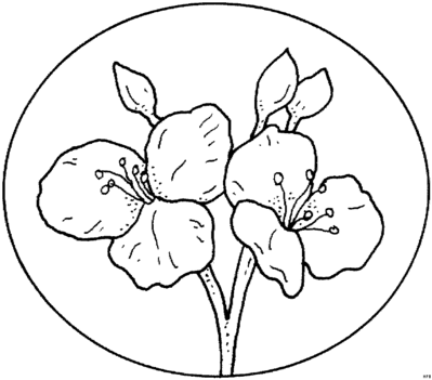 Másolat - Blumengemischt_HFB-0031