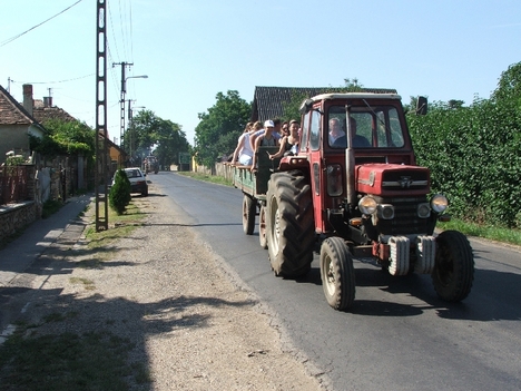 Piknik2008-012