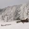Szent Anna tó és környéke télen 04