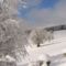 Szent Anna tó és környéke télen 05
