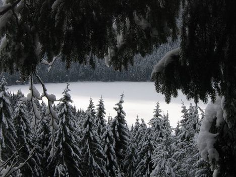 Szent Anna tó és környéke télen 16