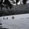 Szent Anna tó és környéke télen 18